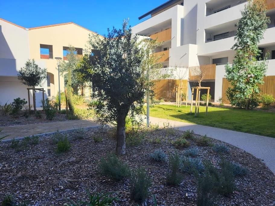 L'Appartement De L'Artiste Marseillan  Eksteriør bilde